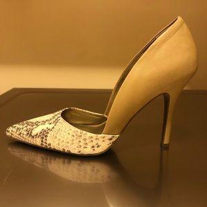 Pointed Pumps / Heels